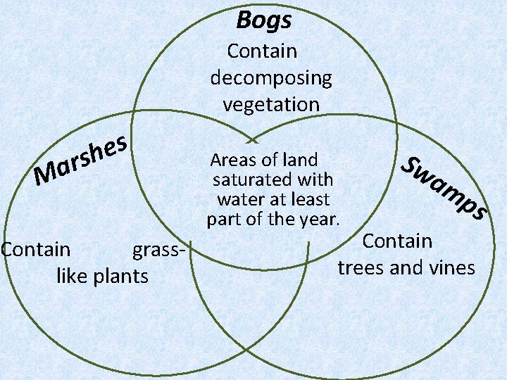 Bogs Contain decomposing vegetation s e rsh a M Contain grasslike plants Areas of