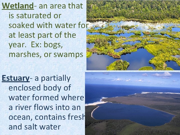 Wetland- an area that is saturated or soaked with water for at least part