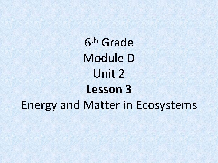 6 th Grade Module D Unit 2 Lesson 3 Energy and Matter in Ecosystems