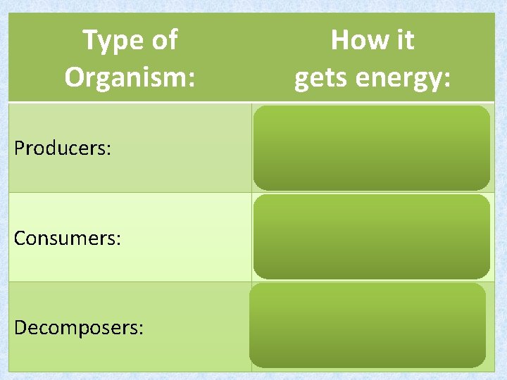 Type of Organism: How it gets energy: Use energy from the sun Producers: Consumers: