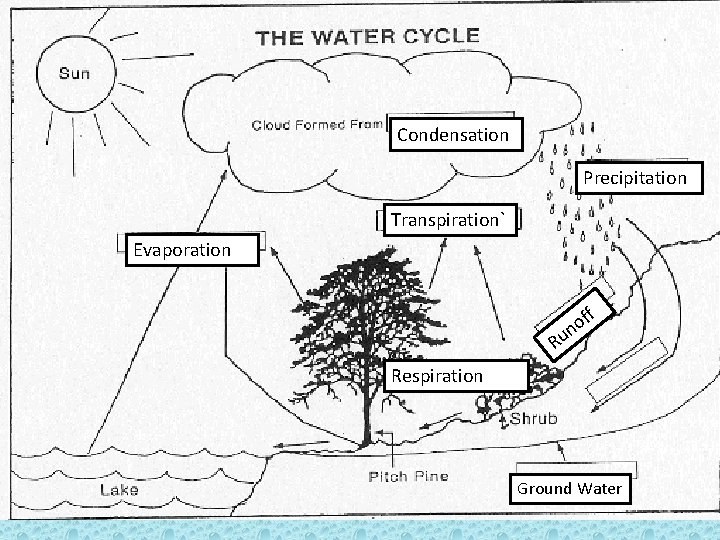 Water cycle-the continuous movement of water between the atmosphere, the land, the oceans and