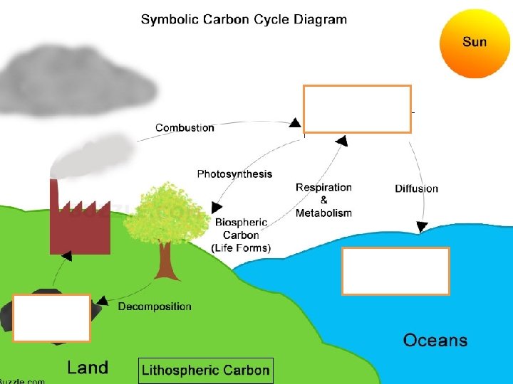 Carbon cycle- the movement of carbon from the nonliving environment into the living things