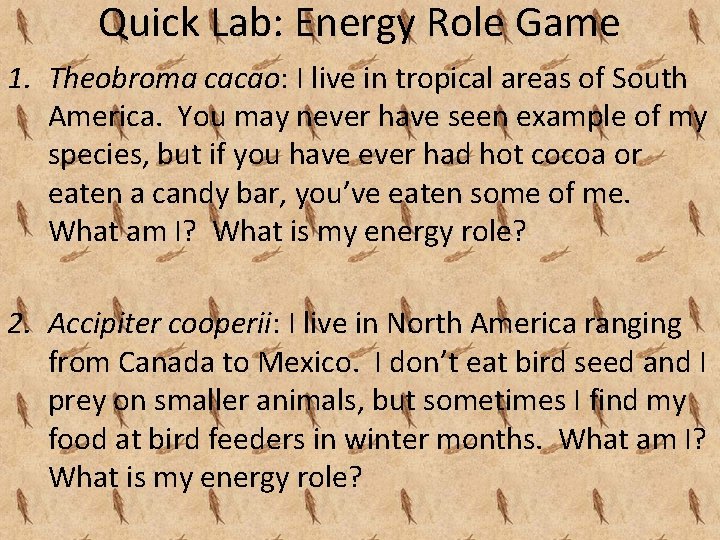 Quick Lab: Energy Role Game 1. Theobroma cacao: I live in tropical areas of