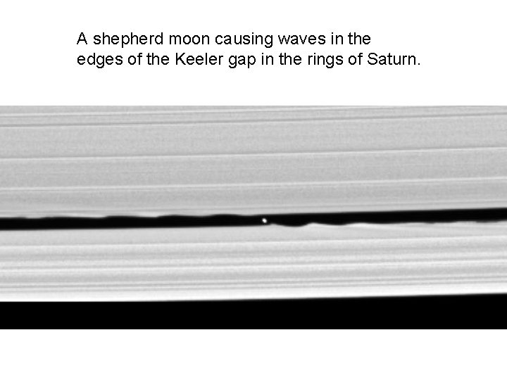 A shepherd moon causing waves in the edges of the Keeler gap in the