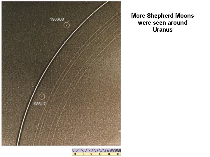 More Shepherd Moons were seen around Uranus 