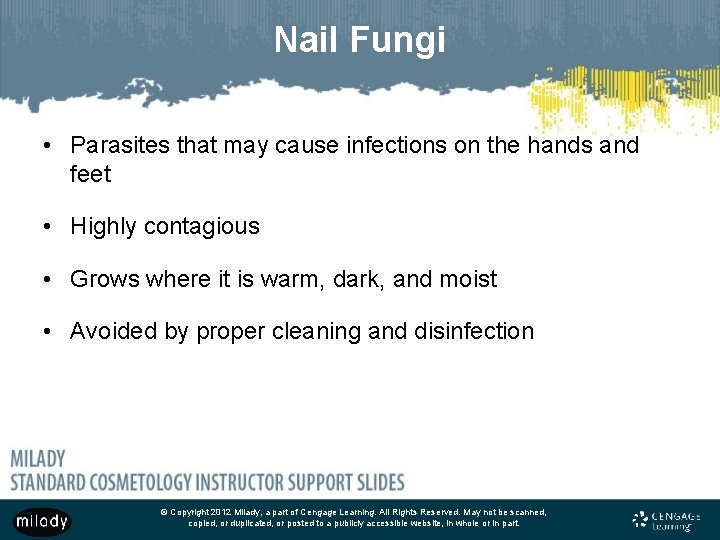 Nail Fungi • Parasites that may cause infections on the hands and feet •