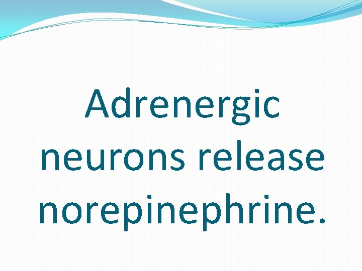 Adrenergic neurons release norepinephrine. 