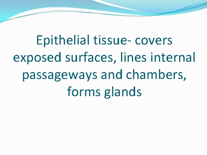 Epithelial tissue- covers exposed surfaces, lines internal passageways and chambers, forms glands 