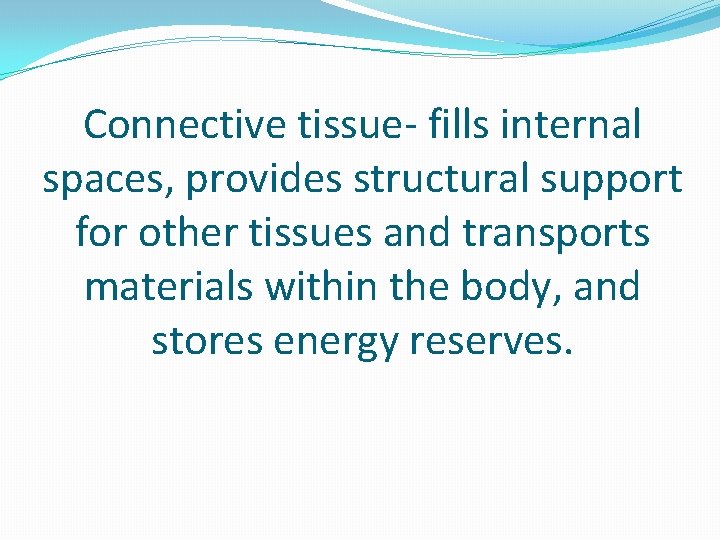 Connective tissue- fills internal spaces, provides structural support for other tissues and transports materials