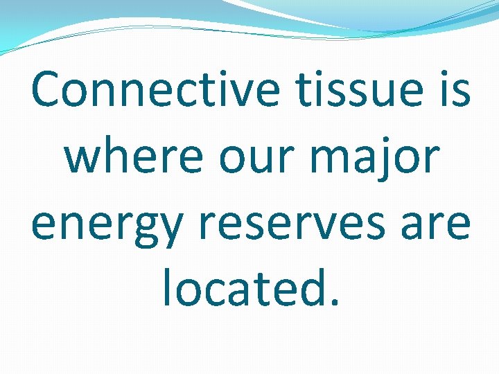 Connective tissue is where our major energy reserves are located. 