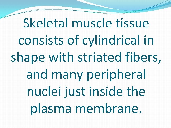 Skeletal muscle tissue consists of cylindrical in shape with striated fibers, and many peripheral