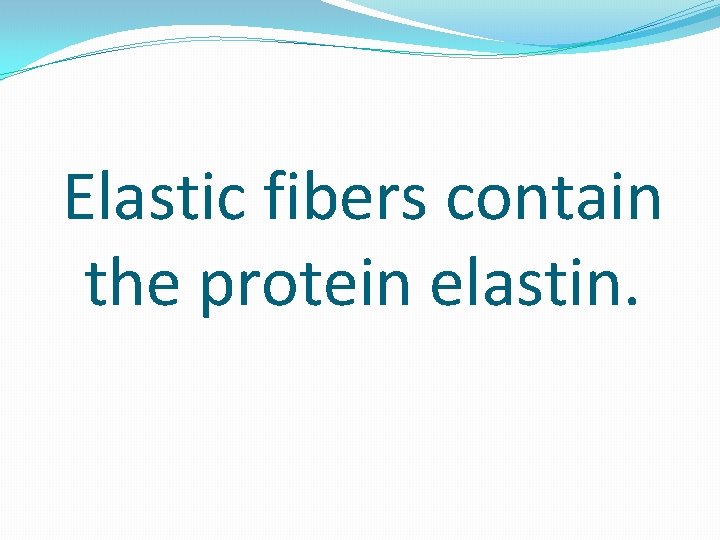 Elastic fibers contain the protein elastin. 