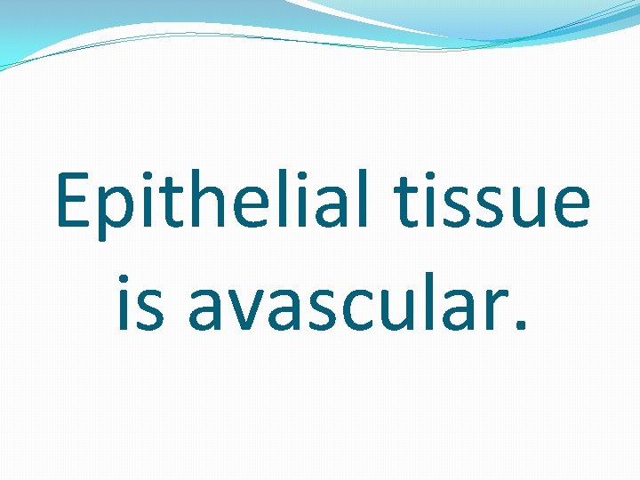 Epithelial tissue is avascular. 