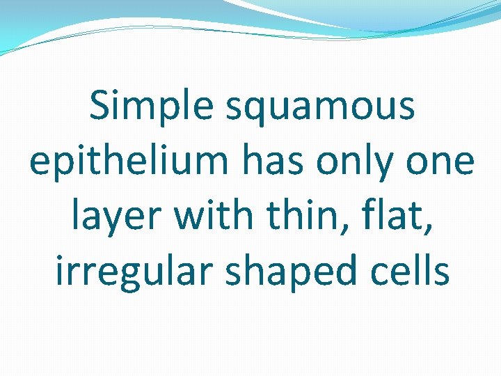 Simple squamous epithelium has only one layer with thin, flat, irregular shaped cells 