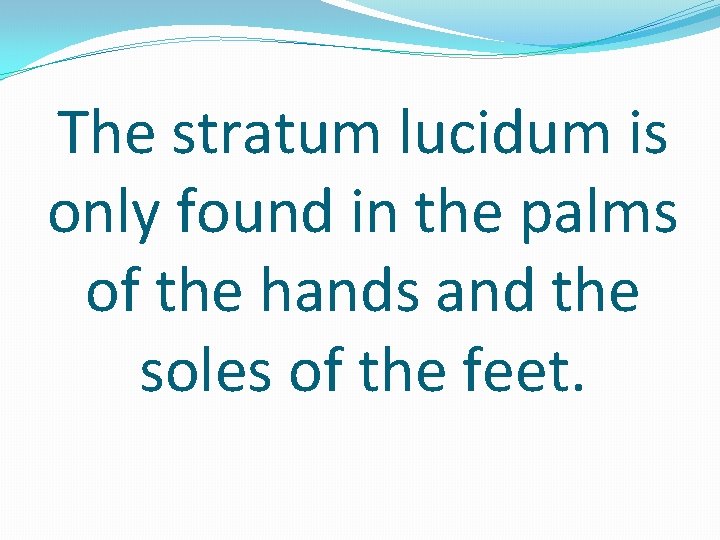 The stratum lucidum is only found in the palms of the hands and the