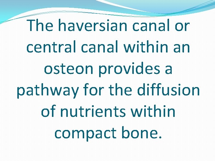 The haversian canal or central canal within an osteon provides a pathway for the