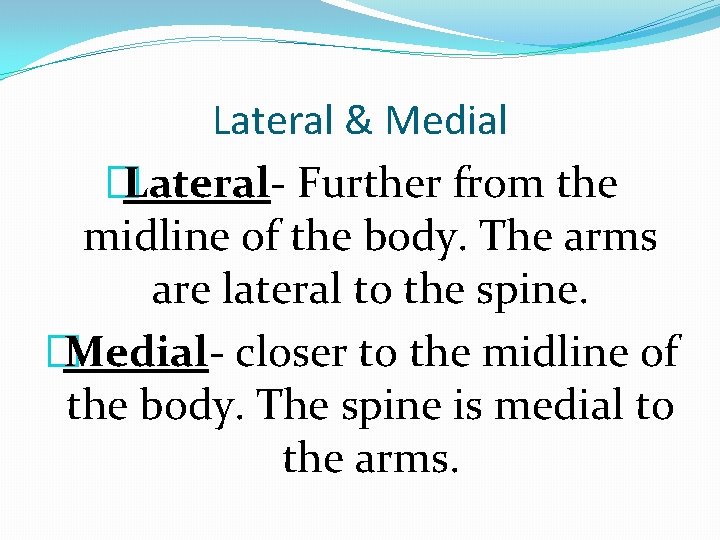 Lateral & Medial �Lateral- Further from the midline of the body. The arms are