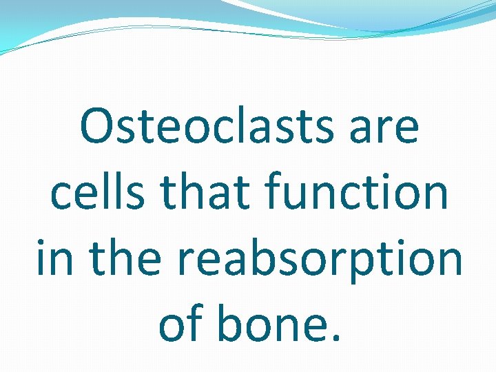 Osteoclasts are cells that function in the reabsorption of bone. 