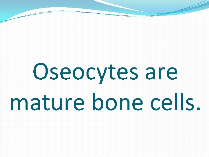 Oseocytes are mature bone cells. 