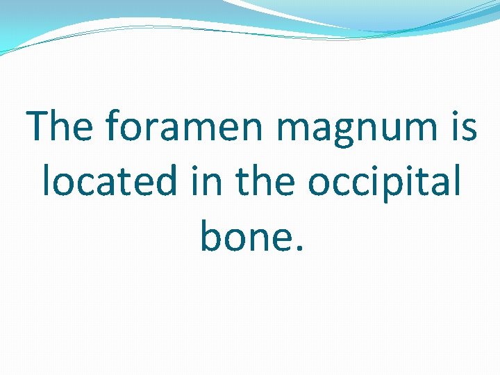 The foramen magnum is located in the occipital bone. 