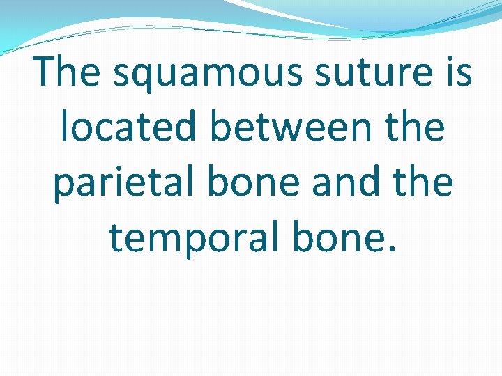 The squamous suture is located between the parietal bone and the temporal bone. 