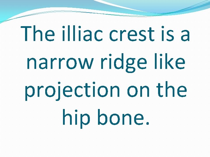 The illiac crest is a narrow ridge like projection on the hip bone. 