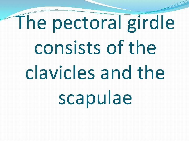 The pectoral girdle consists of the clavicles and the scapulae 