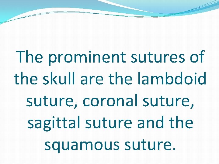 The prominent sutures of the skull are the lambdoid suture, coronal suture, sagittal suture