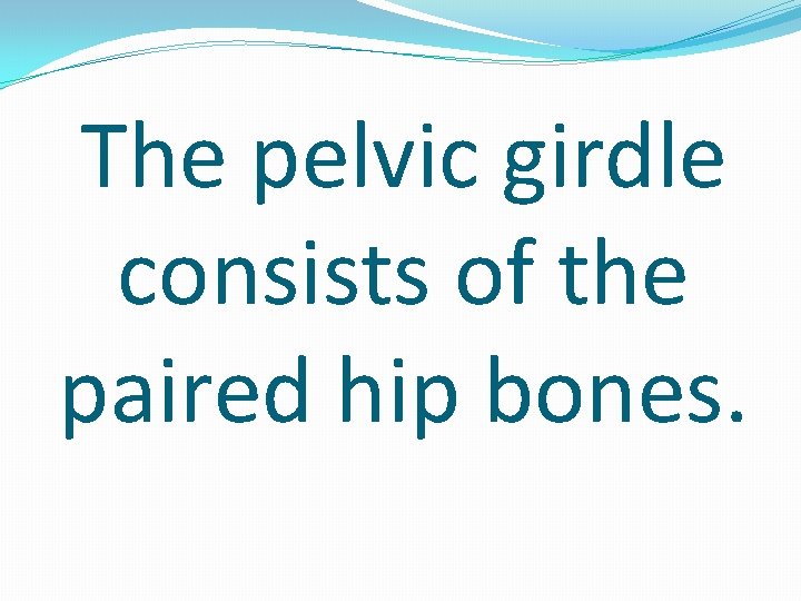 The pelvic girdle consists of the paired hip bones. 