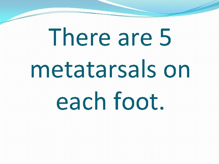 There are 5 metatarsals on each foot. 