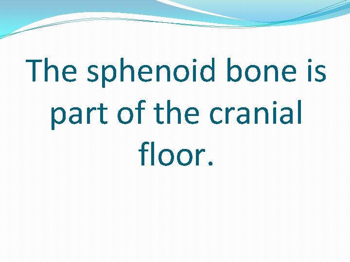 The sphenoid bone is part of the cranial floor. 