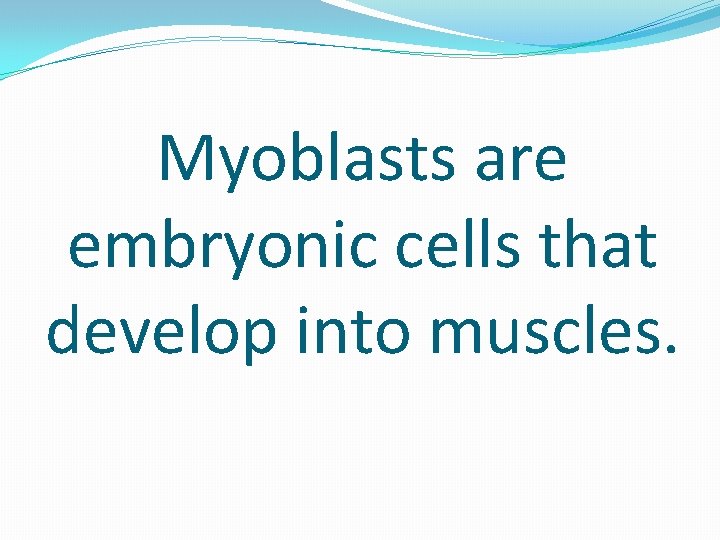Myoblasts are embryonic cells that develop into muscles. 