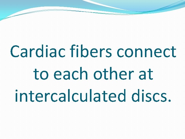 Cardiac fibers connect to each other at intercalculated discs. 