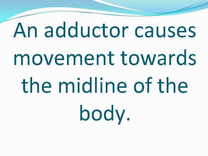 An adductor causes movement towards the midline of the body. 
