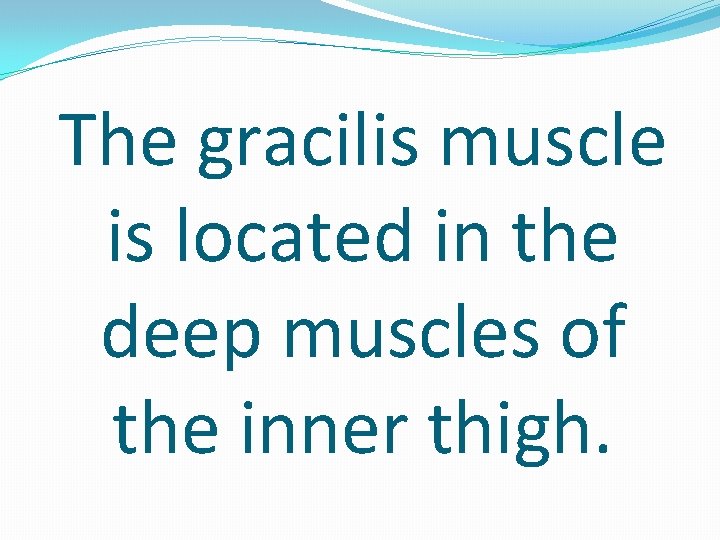 The gracilis muscle is located in the deep muscles of the inner thigh. 