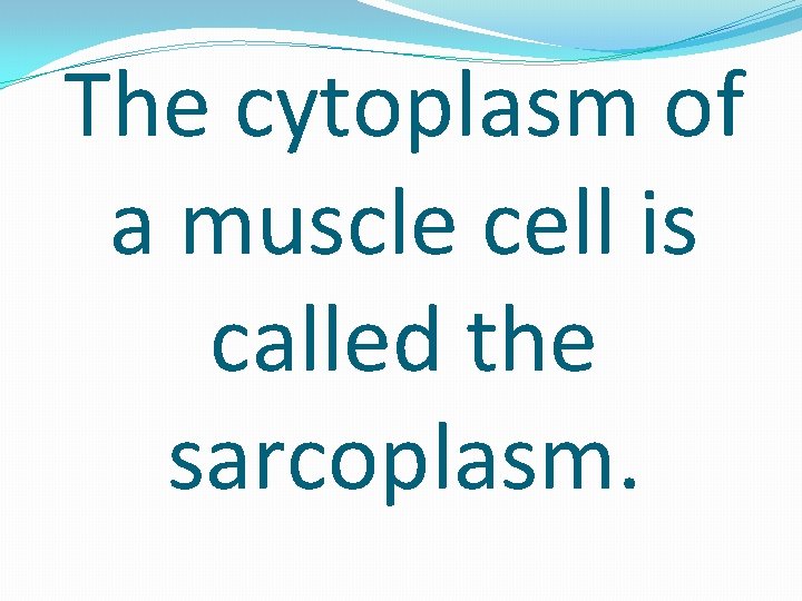 The cytoplasm of a muscle cell is called the sarcoplasm. 