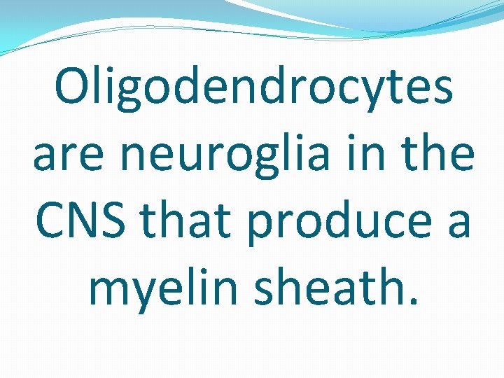 Oligodendrocytes are neuroglia in the CNS that produce a myelin sheath. 