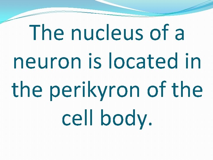 The nucleus of a neuron is located in the perikyron of the cell body.