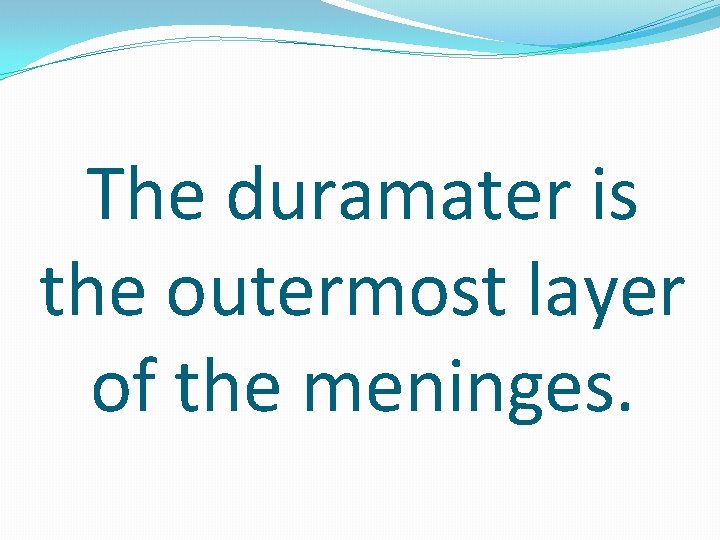 The duramater is the outermost layer of the meninges. 