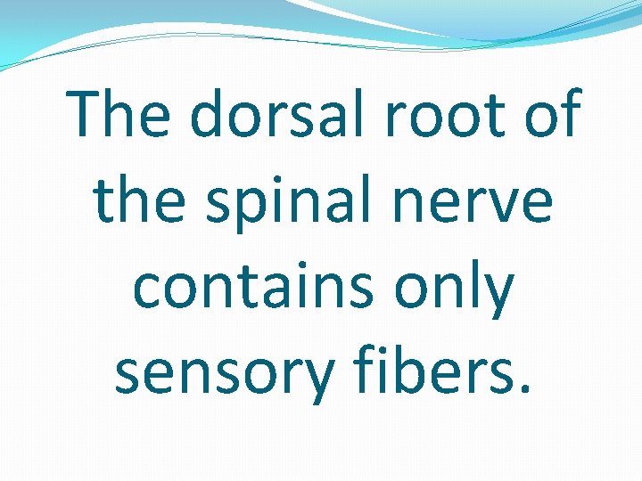 The dorsal root of the spinal nerve contains only sensory fibers. 