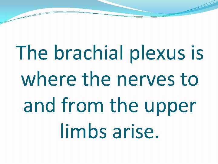 The brachial plexus is where the nerves to and from the upper limbs arise.