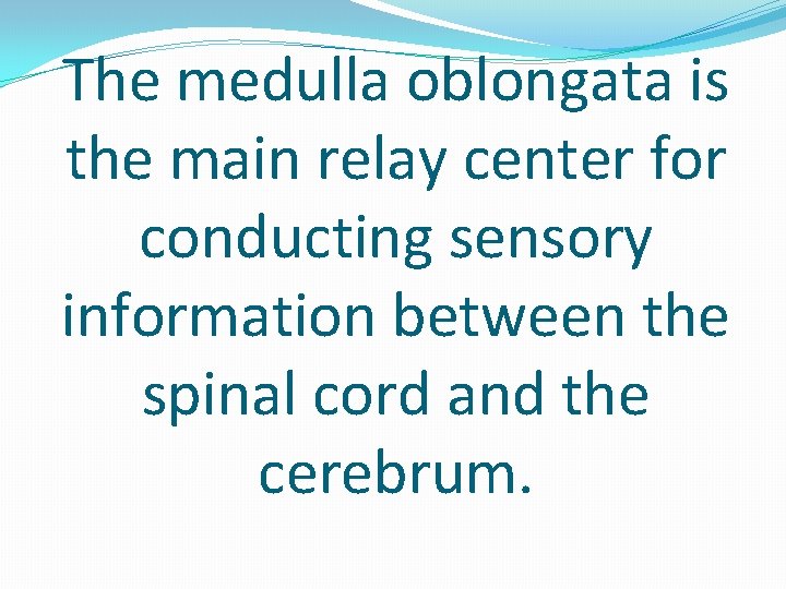 The medulla oblongata is the main relay center for conducting sensory information between the