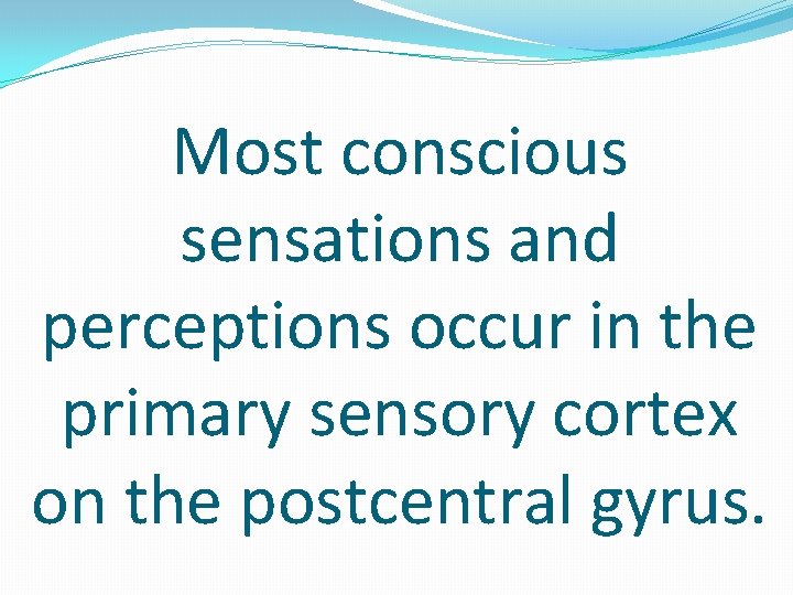 Most conscious sensations and perceptions occur in the primary sensory cortex on the postcentral