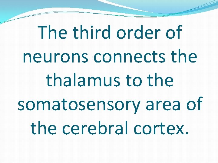 The third order of neurons connects the thalamus to the somatosensory area of the