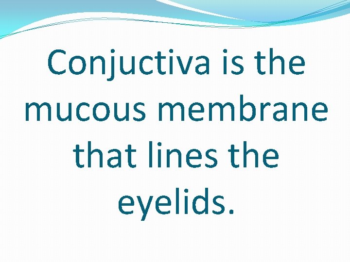 Conjuctiva is the mucous membrane that lines the eyelids. 