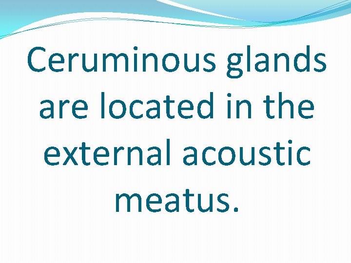 Ceruminous glands are located in the external acoustic meatus. 