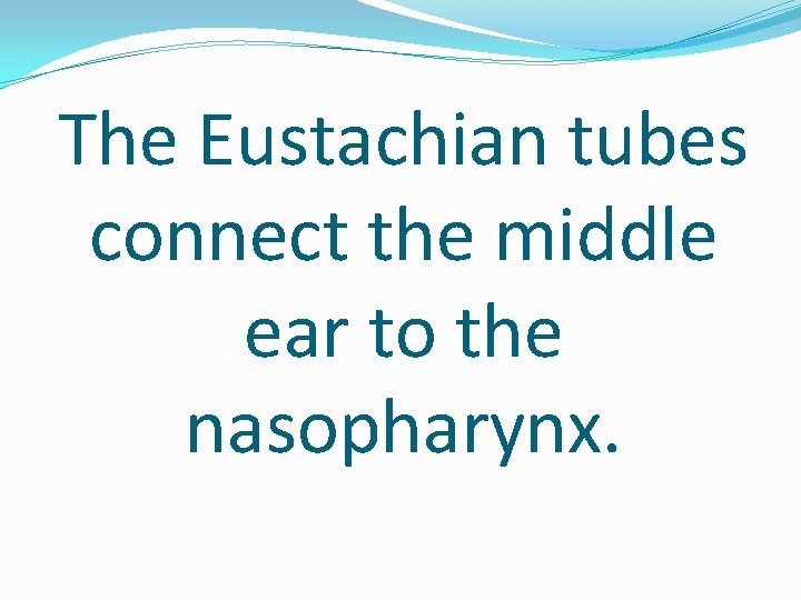 The Eustachian tubes connect the middle ear to the nasopharynx. 