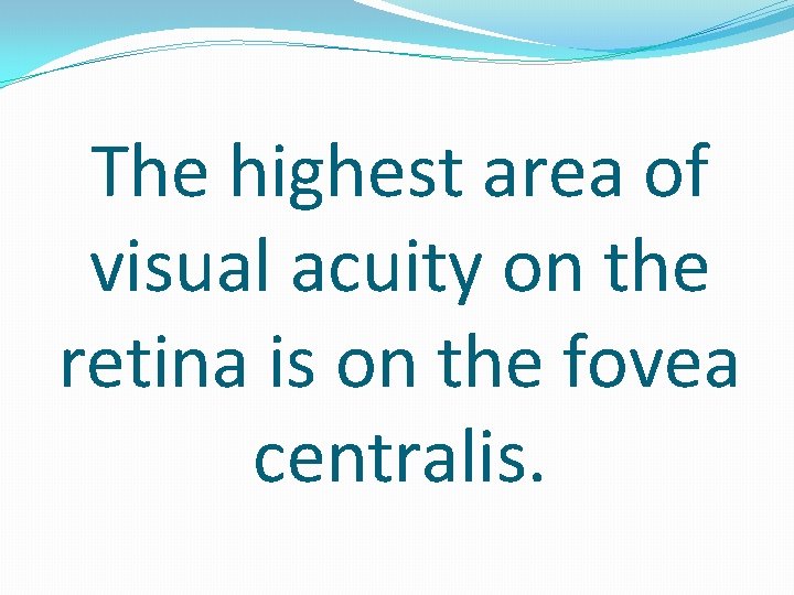 The highest area of visual acuity on the retina is on the fovea centralis.