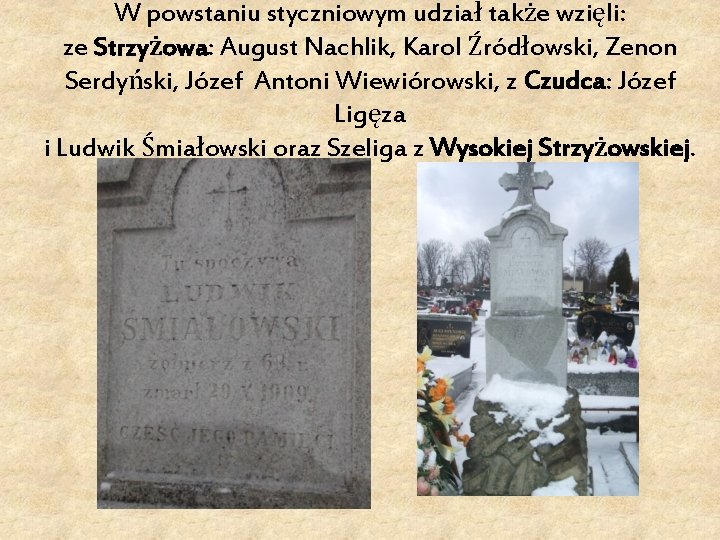 W powstaniu styczniowym udział także wzięli: ze Strzyżowa: August Nachlik, Karol Źródłowski, Zenon Serdyński,