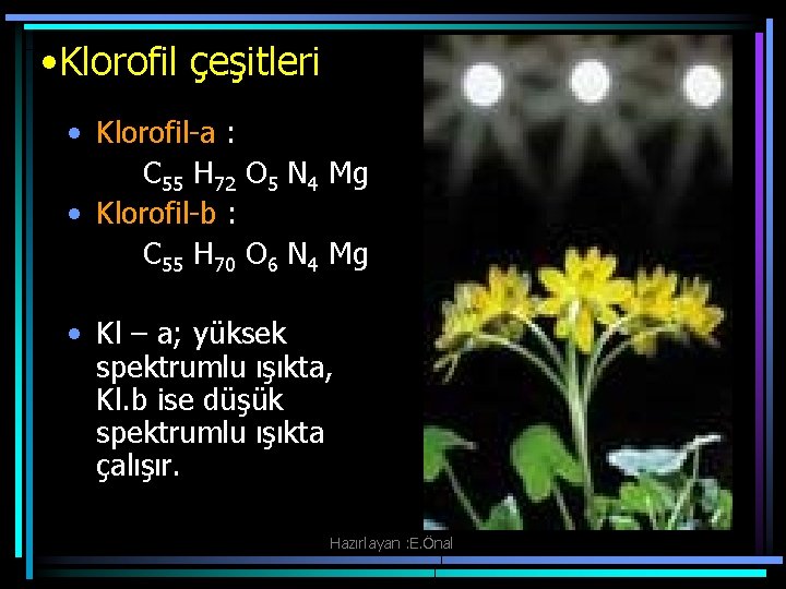  • Klorofil çeşitleri • Klorofil-a : C 55 H 72 O 5 N